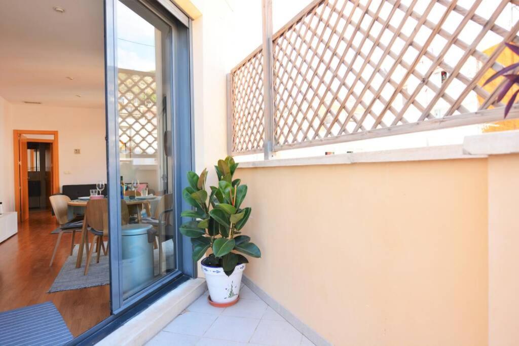 Penthouse In Old City Center By Nras Διαμέρισμα Αλικάντε Εξωτερικό φωτογραφία